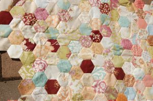 Fig and Plum/ buttercup