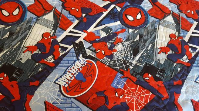 13106810_10208110094062021_1039514232_o